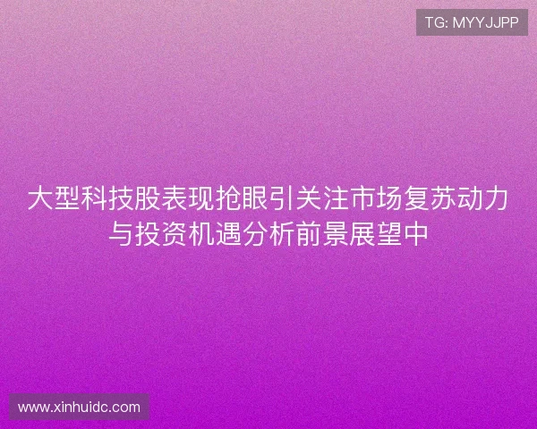 大型科技股表现抢眼引关注市场复苏动力与投资机遇分析前景展望中 大型科技股表现抢眼引关注市场复苏动力与投资机遇分析前景展望中